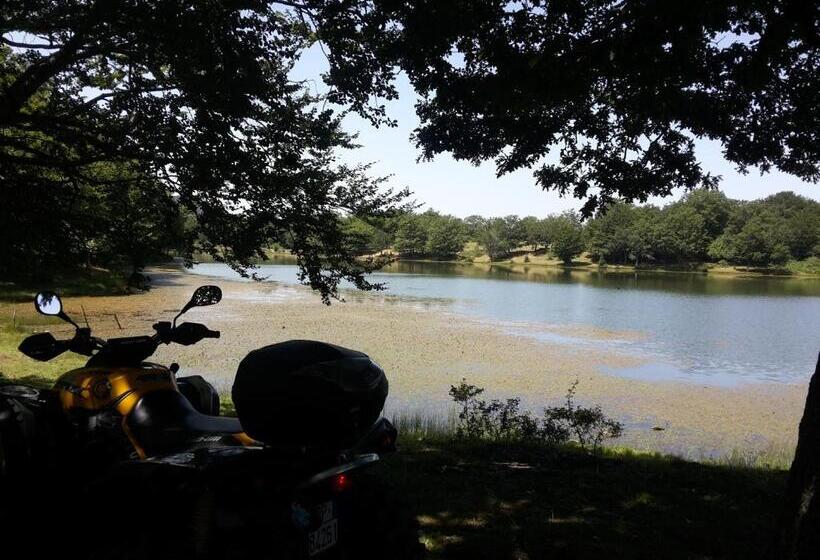 住宿加早餐 Edelweiss