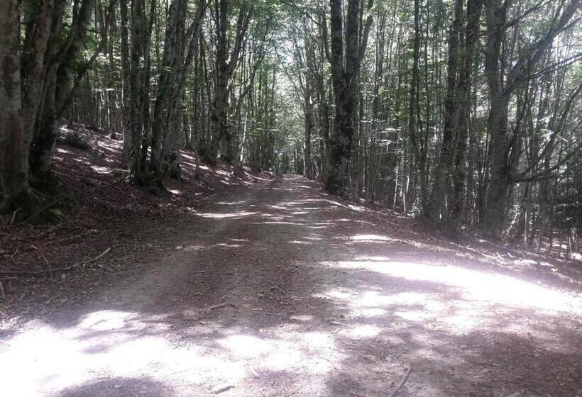 住宿加早餐 Edelweiss