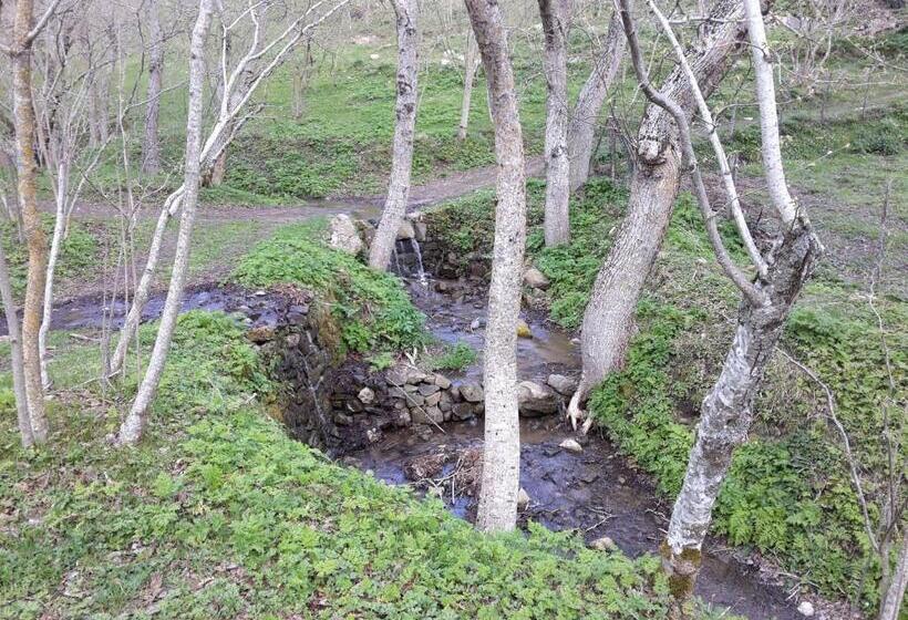 住宿加早餐 Edelweiss