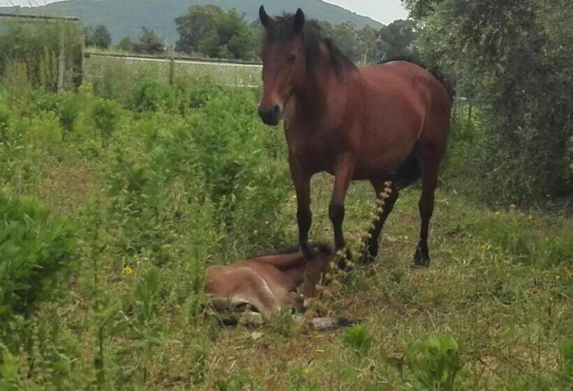 בית מלון כפרי Agriturismo Camera Dei Ladri