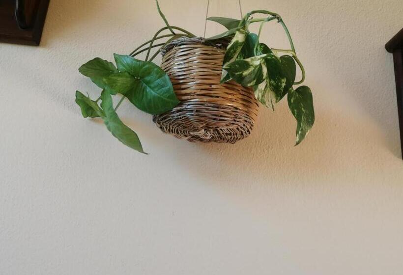 Отель Agriturismo L  Agrumeto