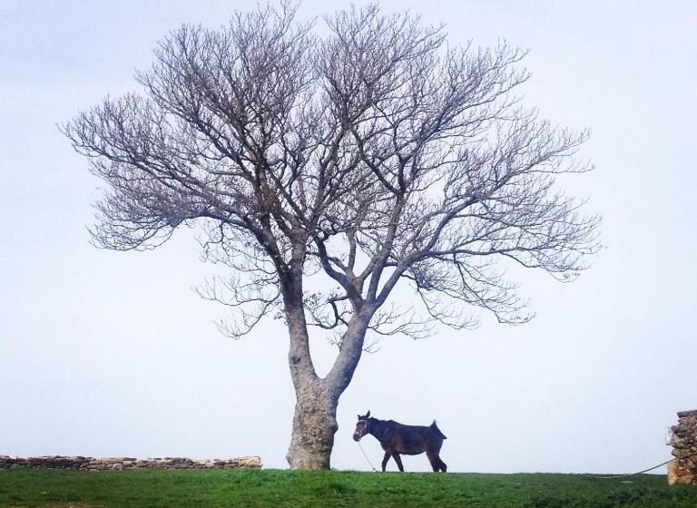 فندق Casa De Belharino
