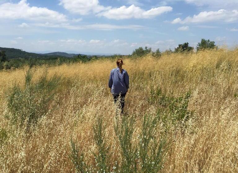 فندق Casa De Belharino