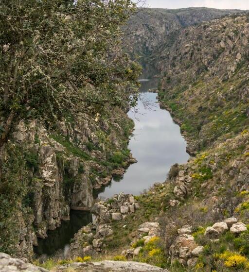 فندق Casa De Belharino