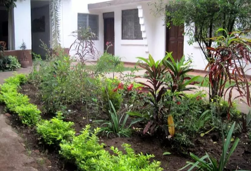 Hotelli Fig Tree Lodge Camp