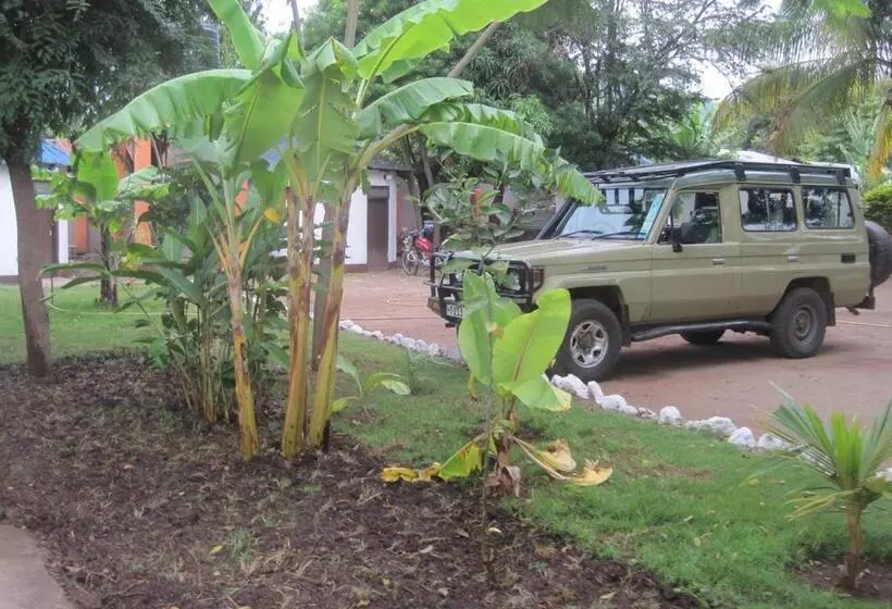 Hotelli Fig Tree Lodge Camp