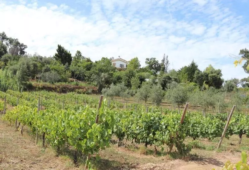 Hotelli Quinta De S. Luis   Valada