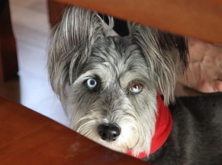 Pension Sunshine And Wine Loft