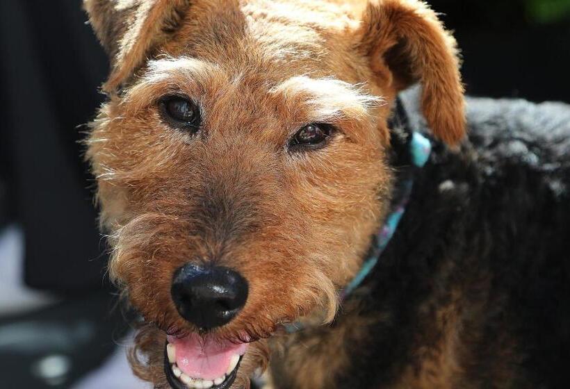 Pension Sunshine And Wine Loft