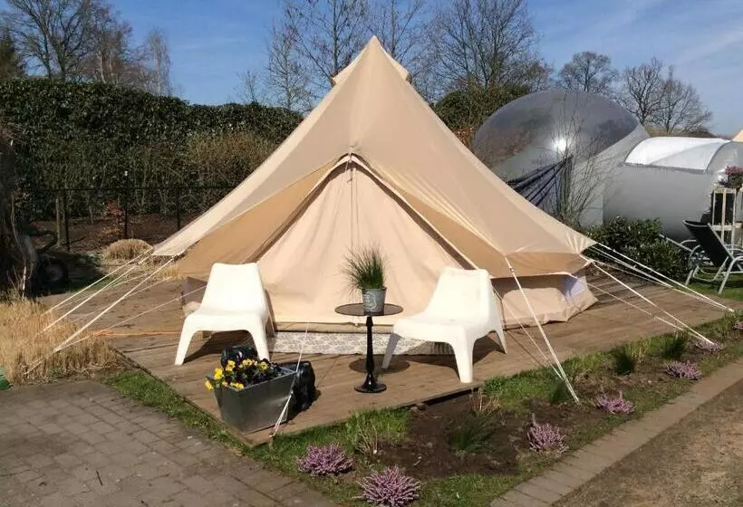 호텔 Guesthouse De Witte Merel Deluxe