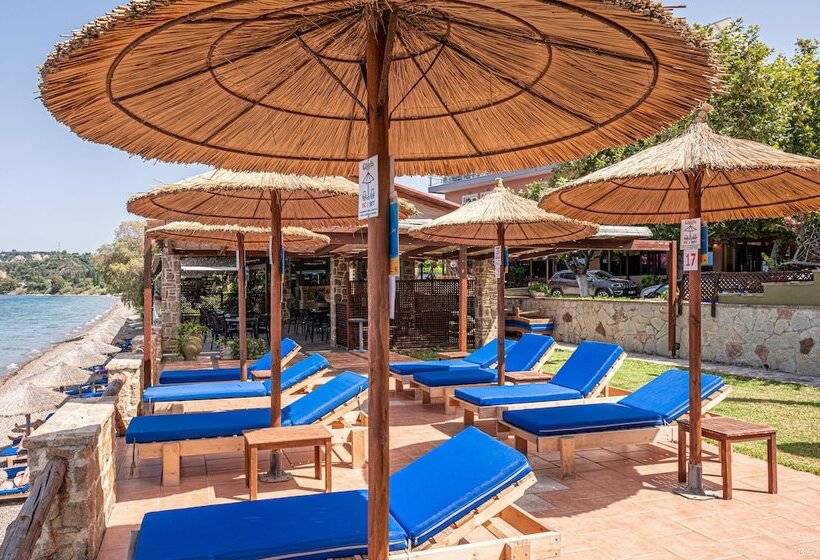 فندق Castella Beach