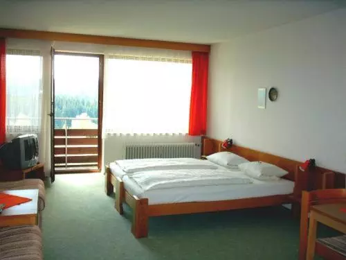 Hotel Hochstein