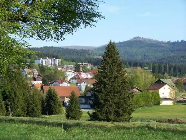 Hotel Hochstein