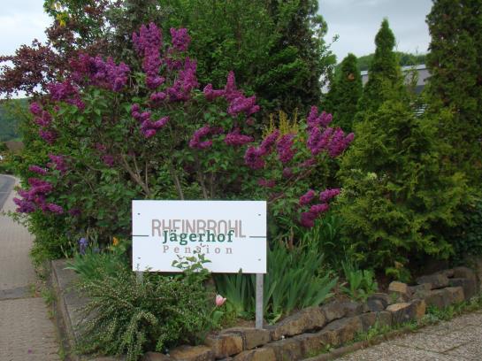 酒店 Pension Jägerhof