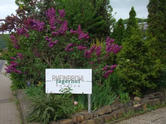 酒店 Pension Jägerhof