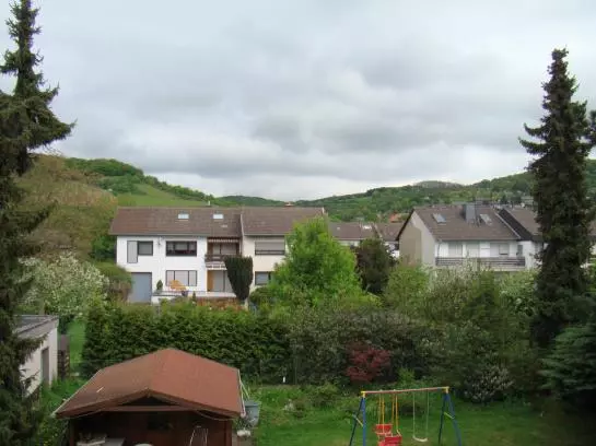 酒店 Pension Jägerhof