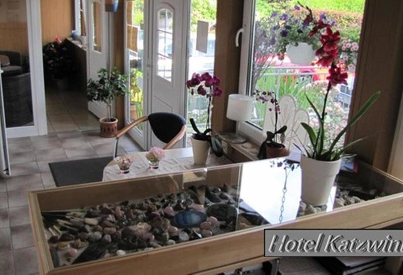 酒店 Katzwinkel