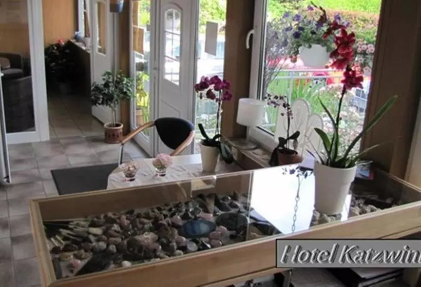فندق Katzwinkel