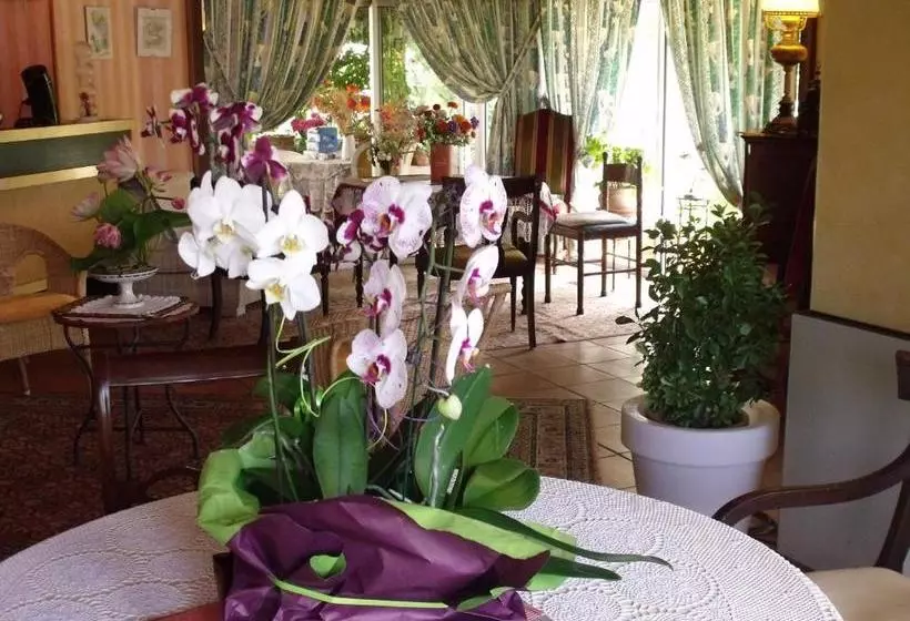 Hotel Hôtel A L Amarante