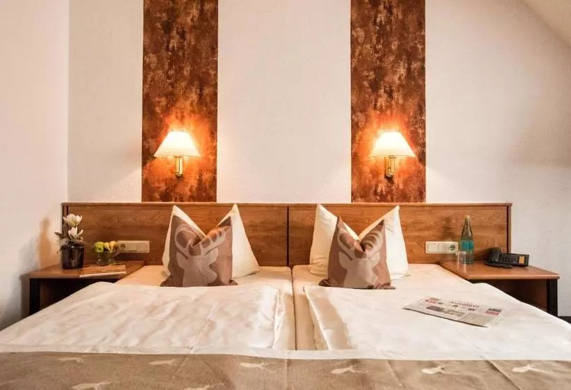 Отель & Restaurant Zum Hirsch