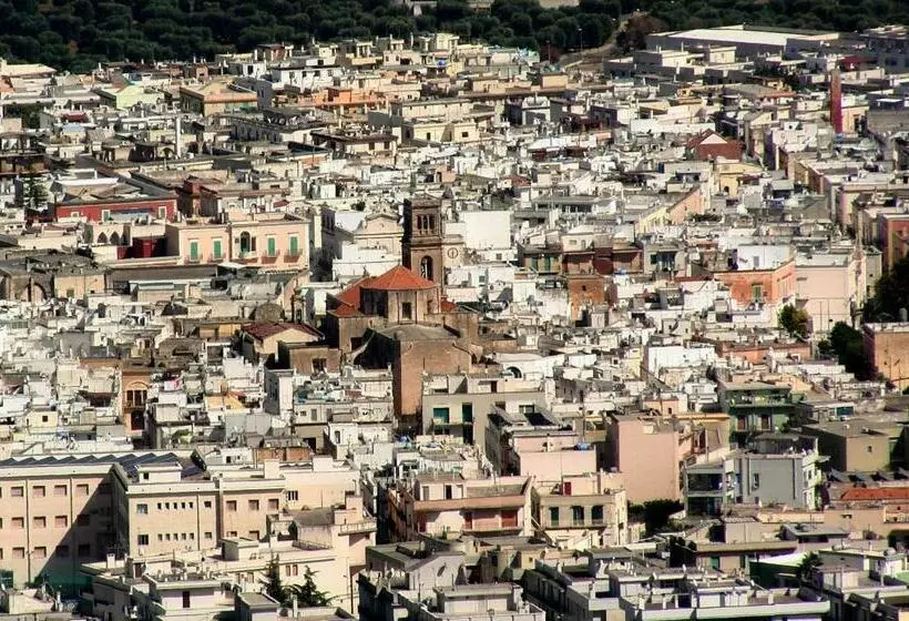 ベッドアンドブレックファースト Harry S House