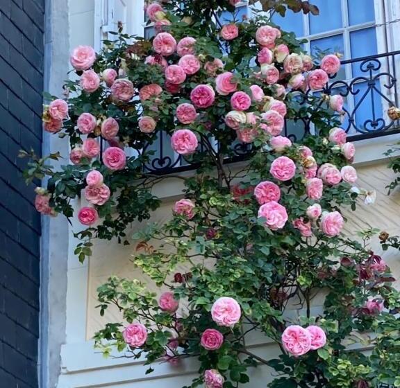 تختخواب و صبحانه Le Mascaret