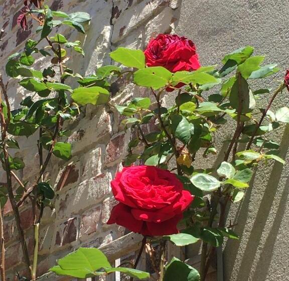 تختخواب و صبحانه Le Mascaret