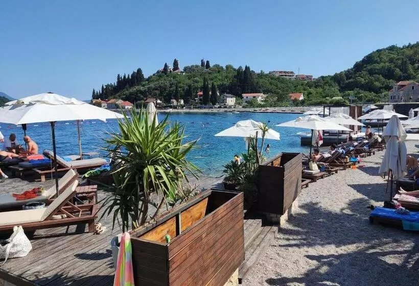 Montenegro Colors