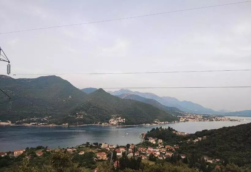 Montenegro Colors