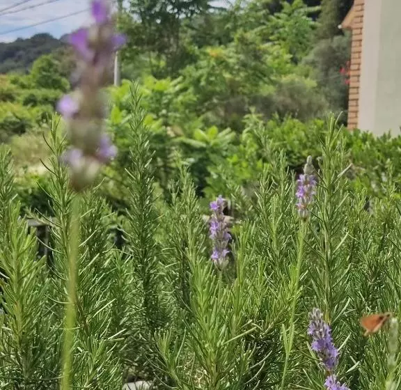 Montenegro Colors