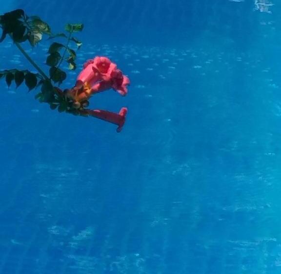 پانسیون Casa Mea