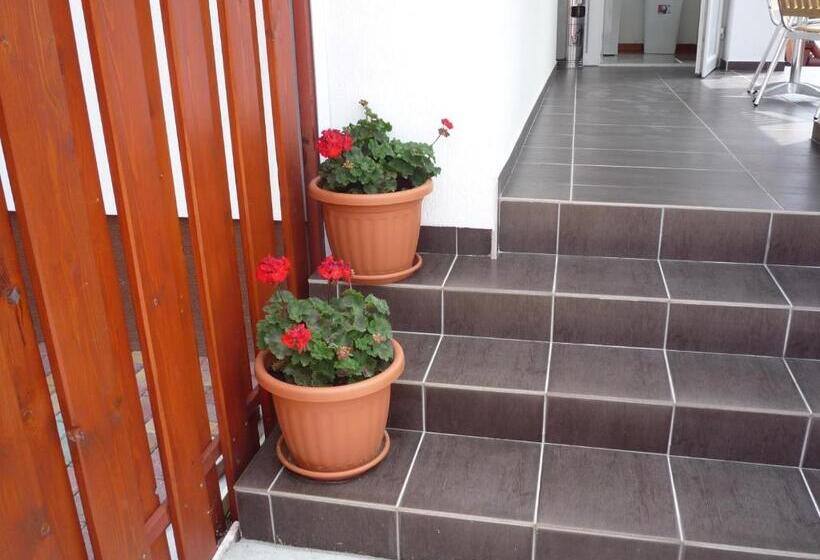 Pensionat Mórafészek Vendégház