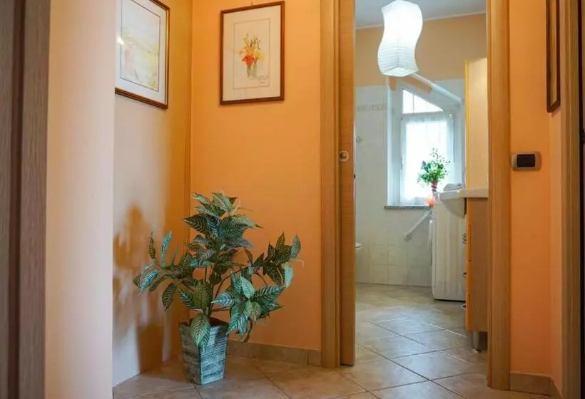 Sunny House