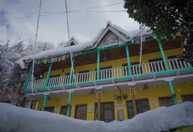 旅馆 Yaarana Stay & Cafe, Vashisht, Manali