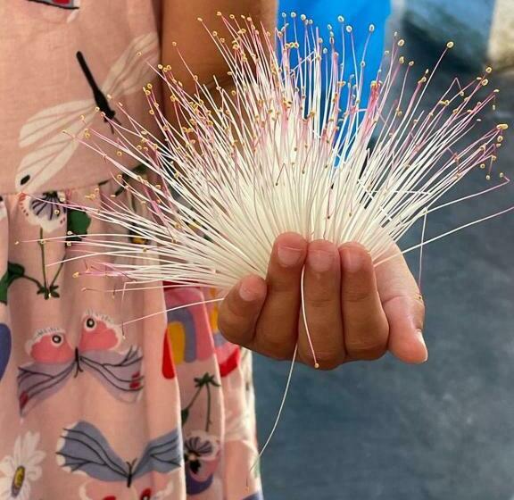 مبيت وإفطار Talalla Wonder View