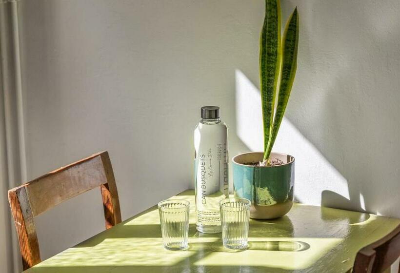 Can Busquets Apartahotel 1