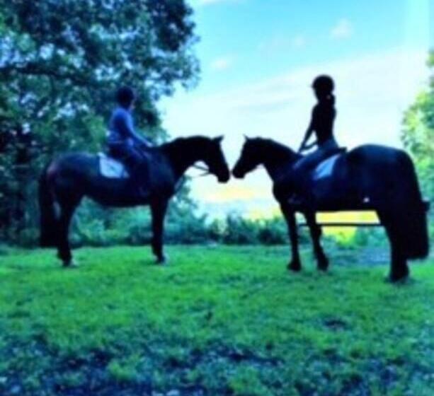 Charming Cottage Within Farmhouse