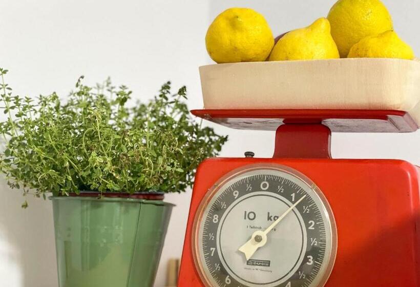 Mediterranean Vibes. Oasis De Relax En Alicante