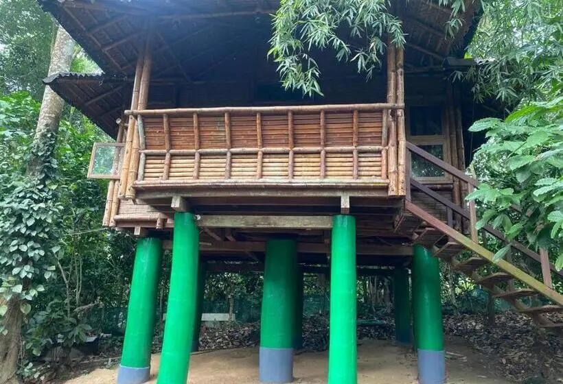 Majatalo Trekking Trails Eco Stay
