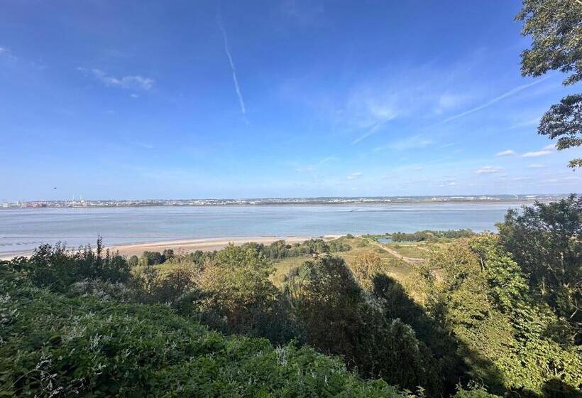 Nid D Amour Sous Les Toits !