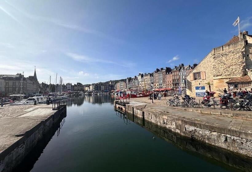 Nid D Amour Sous Les Toits !