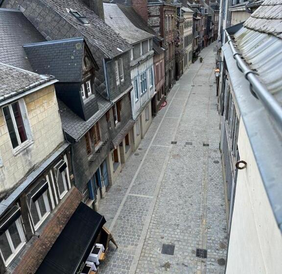 Nid D Amour Sous Les Toits !