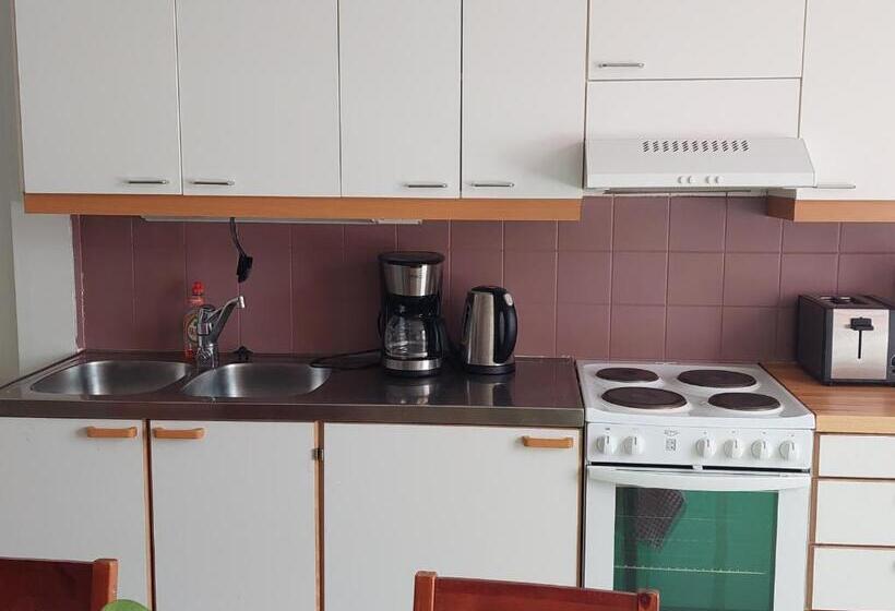 Nostalgista Majoittumista Taiteilijatalo Taideniityn Auringossa Tai Niityssä