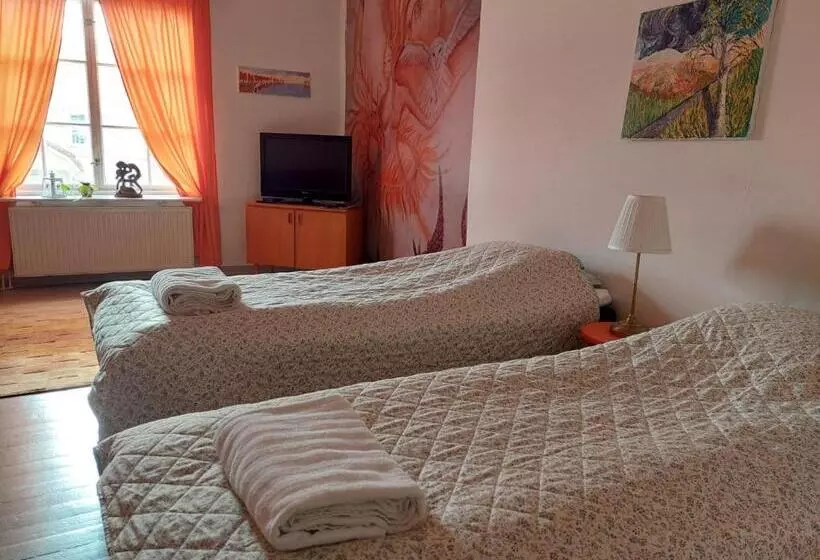 Nostalgista Majoittumista Taiteilijatalo Taideniityn Auringossa Tai Niityssä