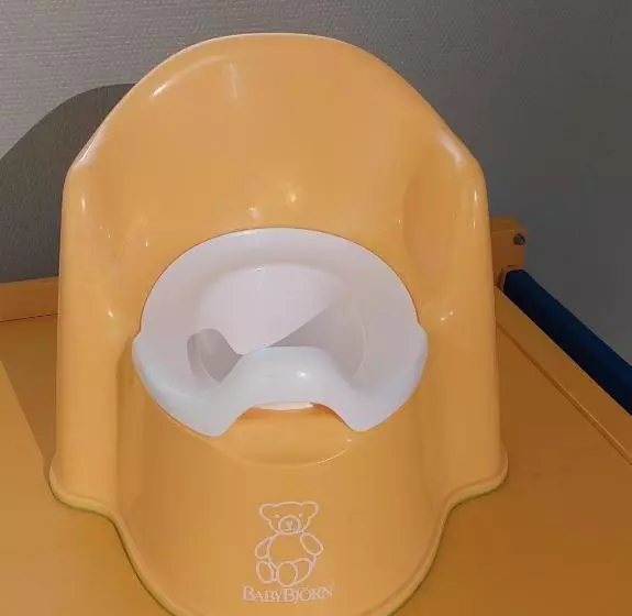 Nostalgista Majoittumista Taiteilijatalo Taideniityn Auringossa Tai Niityssä