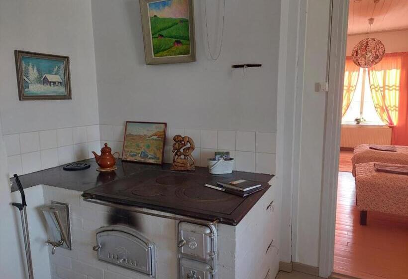 Nostalgista Majoittumista Taiteilijatalo Taideniityn Auringossa Tai Niityssä