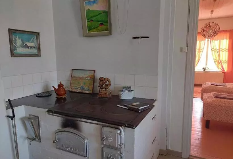 Nostalgista Majoittumista Taiteilijatalo Taideniityn Auringossa Tai Niityssä