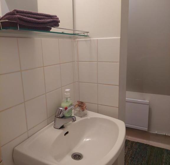 Nostalgista Majoittumista Taiteilijatalo Taideniityn Auringossa Tai Niityssä