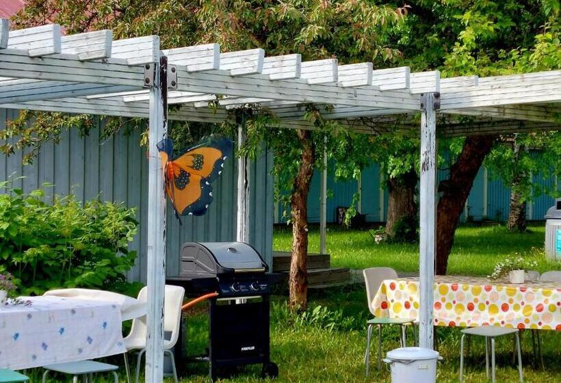 Nostalgista Majoittumista Taiteilijatalo Taideniityn Auringossa Tai Niityssä