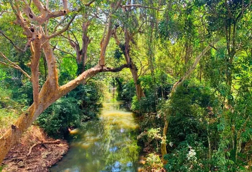 پانسیون River Road Safari Cottage Udawalawe